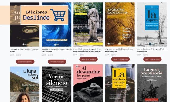 Pauta Ediciones deslinde tienda online WooCommerce libros