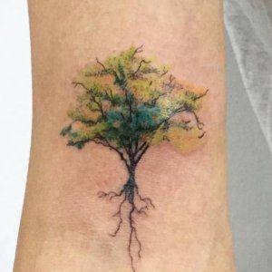 Árbol Invertido