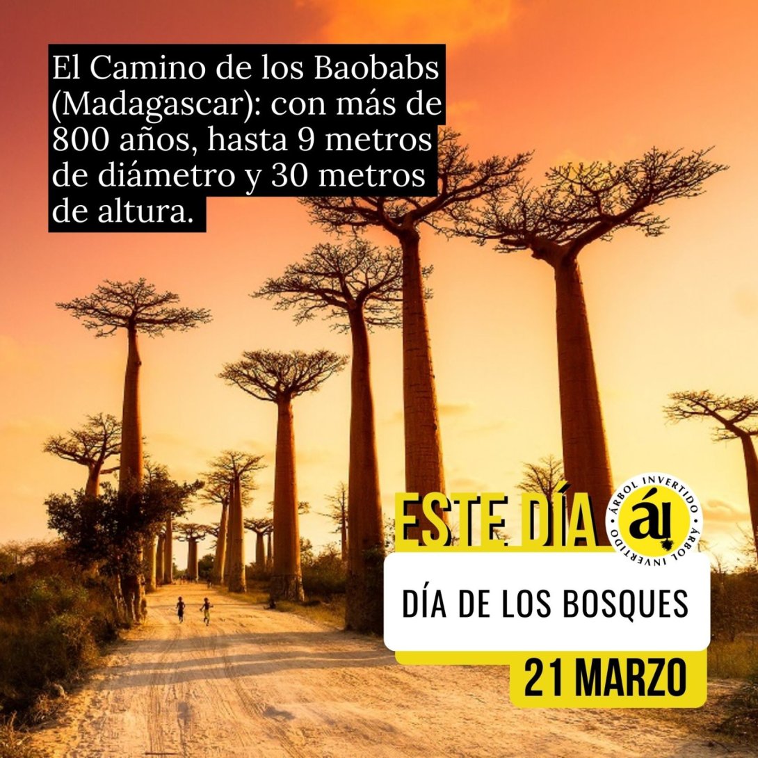Postal Este Día. 21 Marzo. Día de los bosques