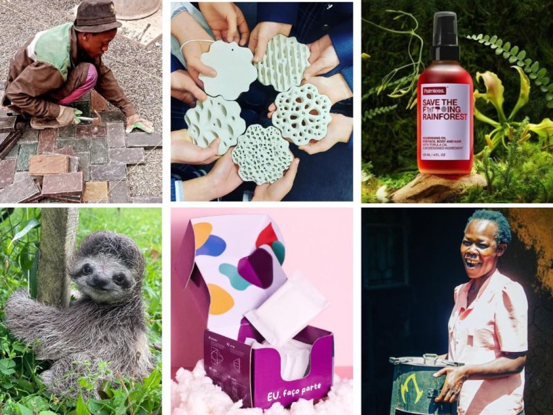 Seis empresas ecológicas lideradas por mujeres.