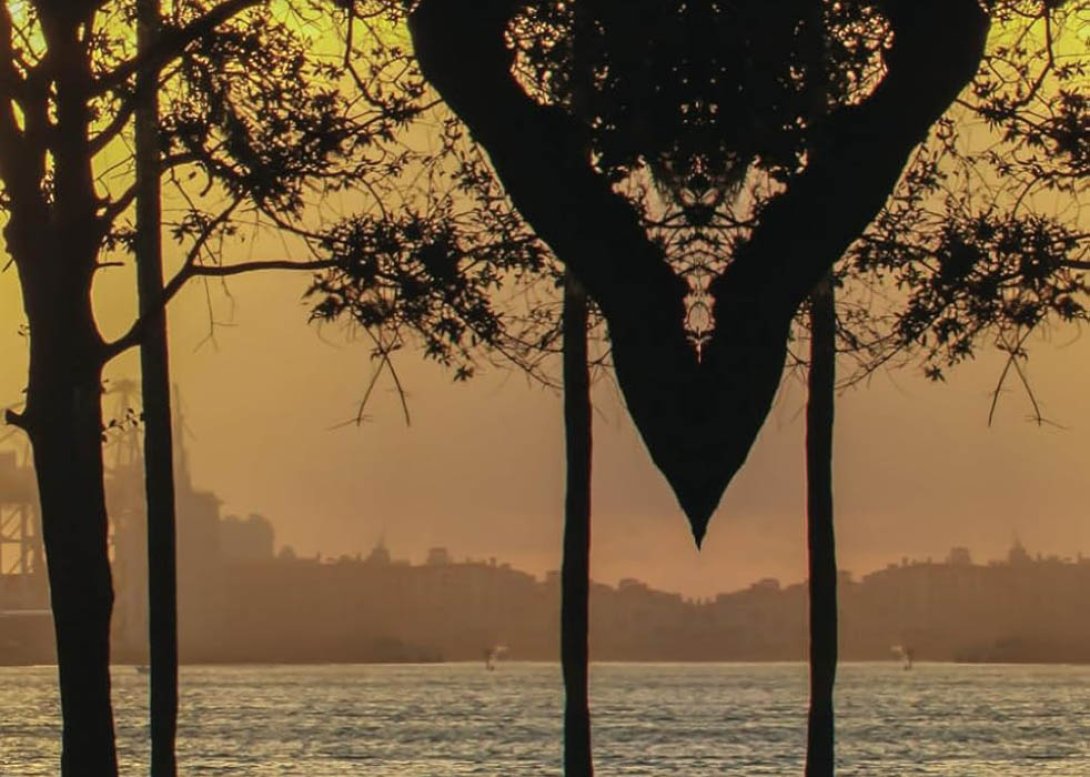 Detalle de la cubierta del libro "Para ver si alguien pasa con mi nombre" (2025), de Reinaldo Soto.