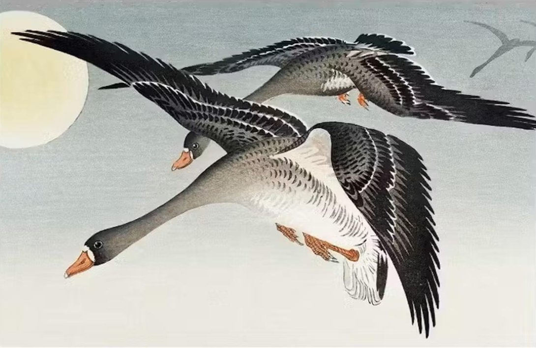 Ohara Koson: "Patos en la luna llena".