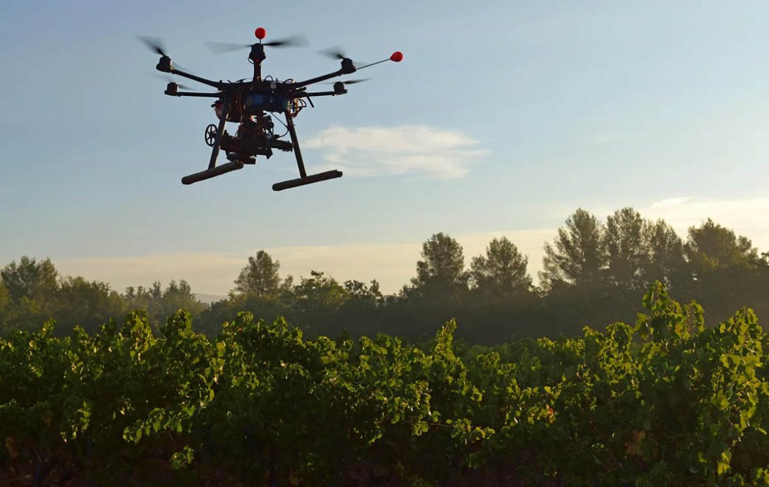Reforestación con drones.
