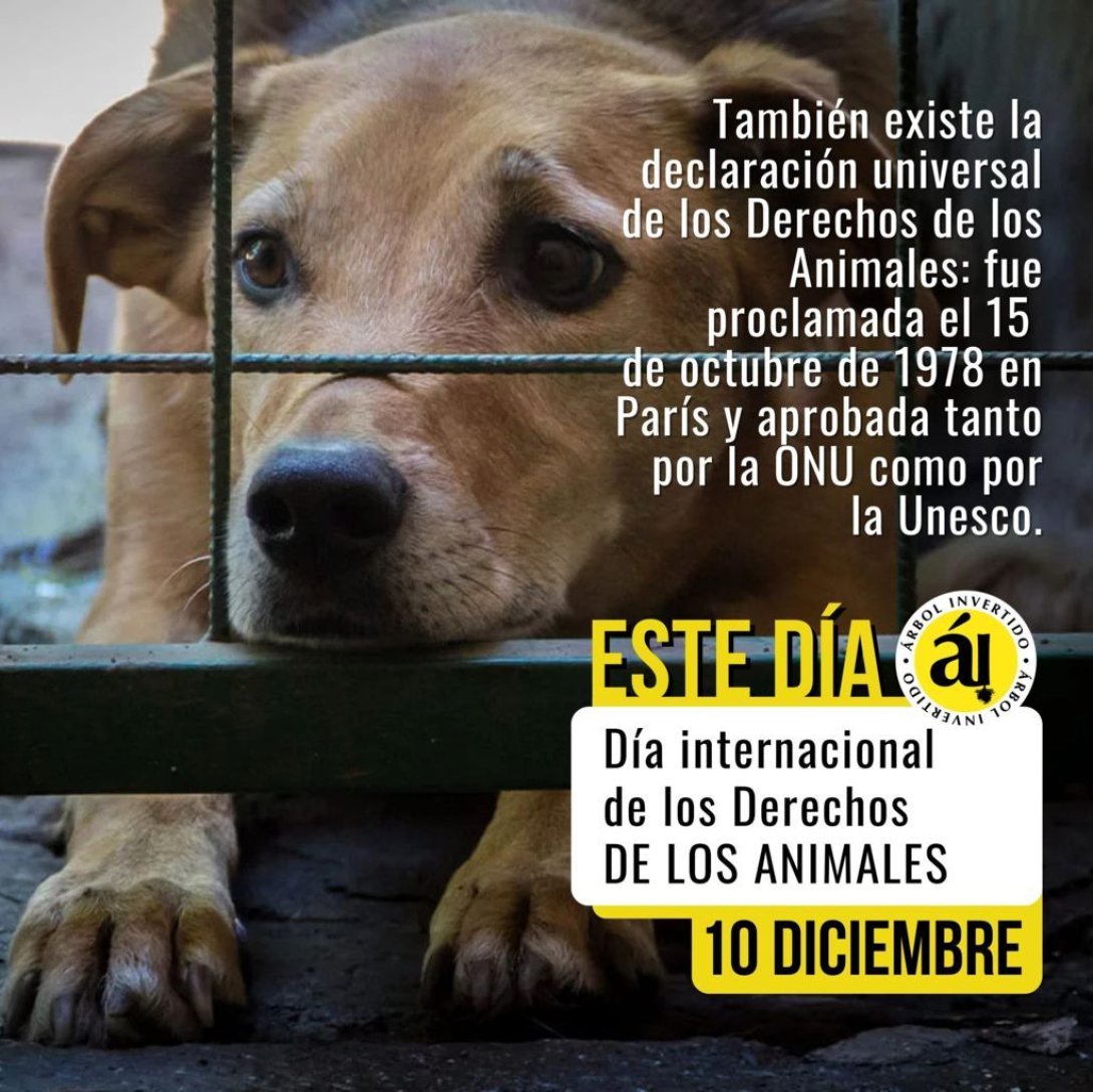 Postal. Este día. Dia internacional de los Derechos de los Animales