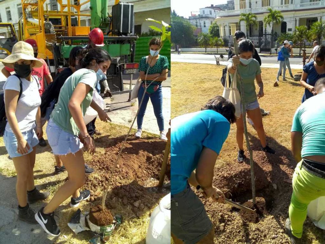 Jóvenes ambientalistas cubanos, del grupo Habana Verde, siembran árboles en La Habana