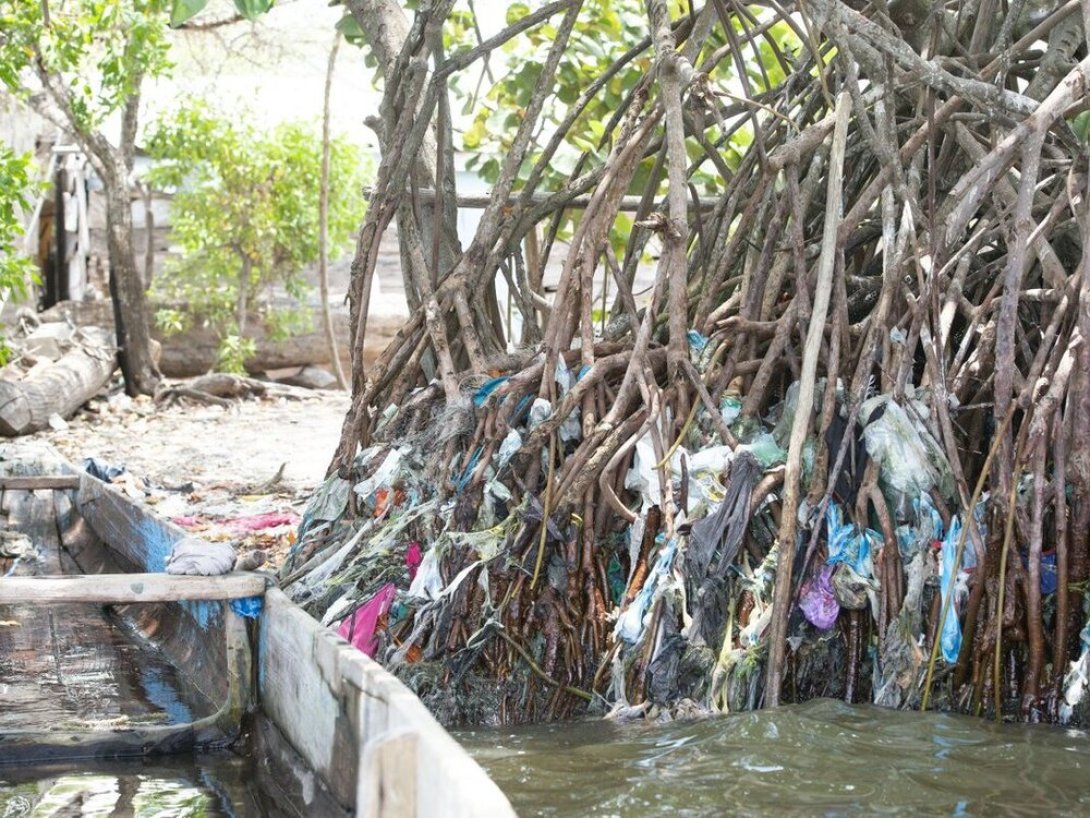 Manglares en peligro por la contaminación con basura. FUENTE: Kienyke en Twitter.