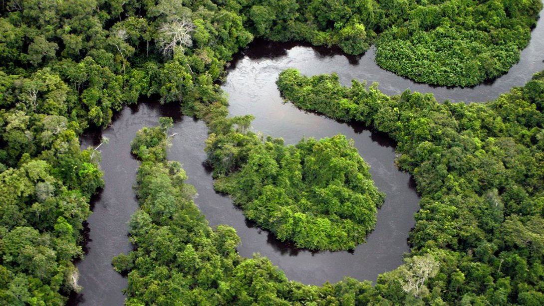 Río y selva amazónica, el pulmón del planeta.