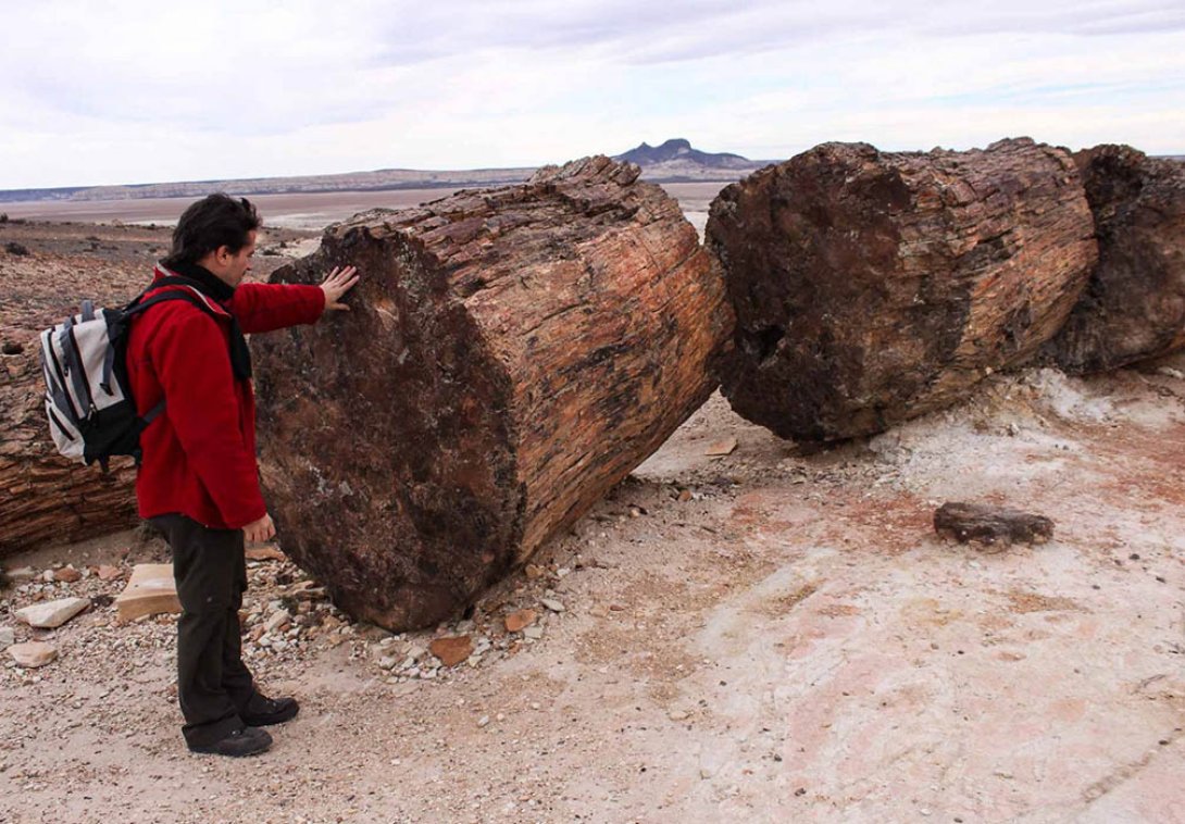 Bosque Petrificado de Jaramillo, parque nacional en la Patagonia argentina.