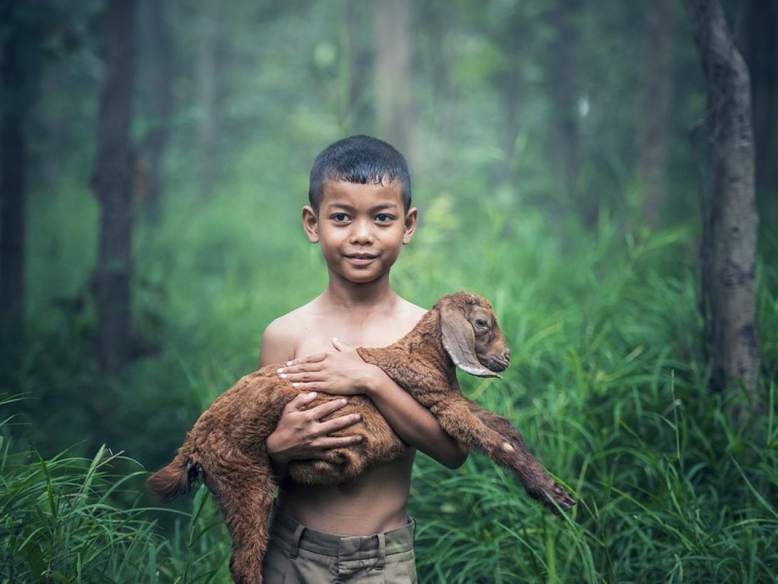 Niño con una cabra.
