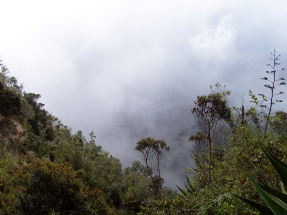 Pico de Joaquín y Regino, Sierra Maestra.