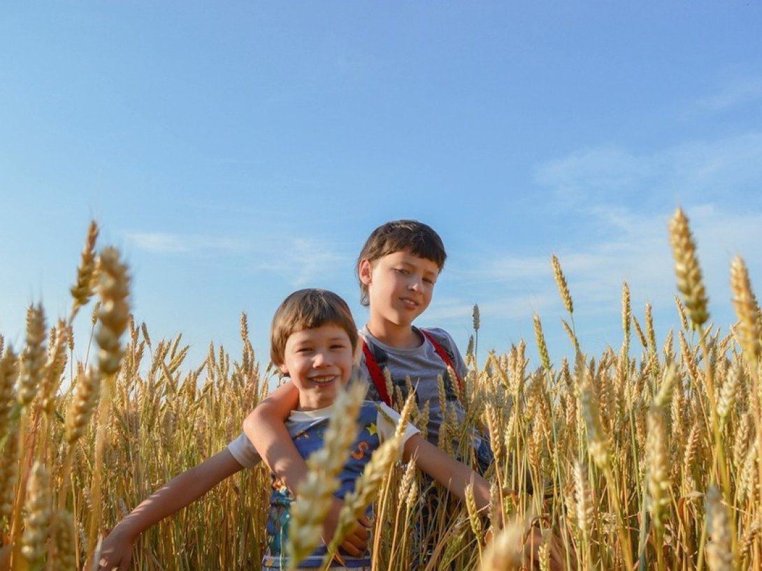 Niños jugando en el campo.