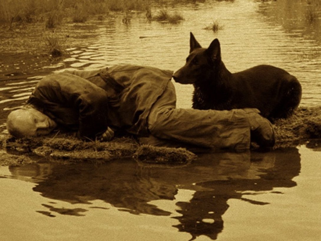 hombre y perro