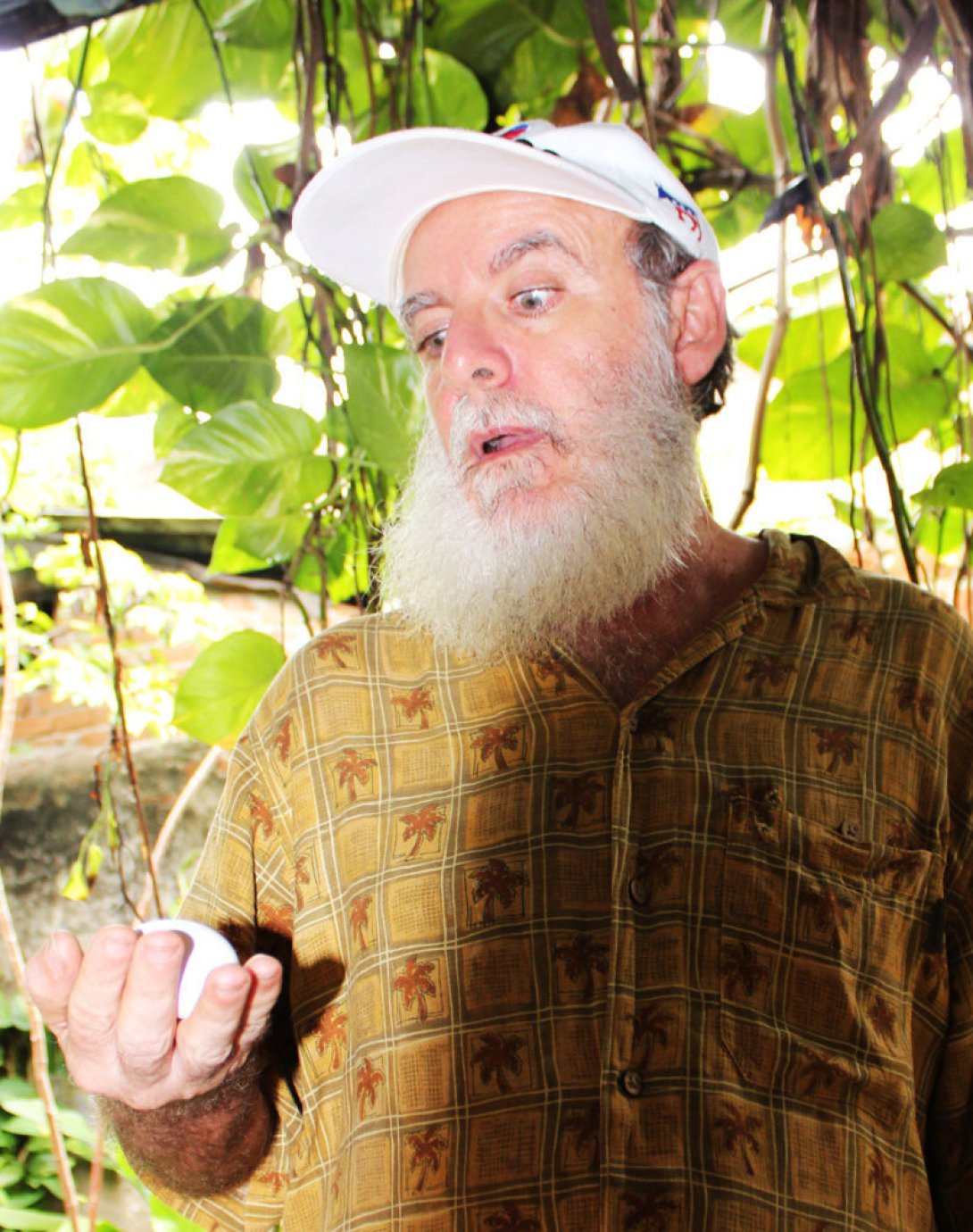 Almanza contempla la llegada del Huevo