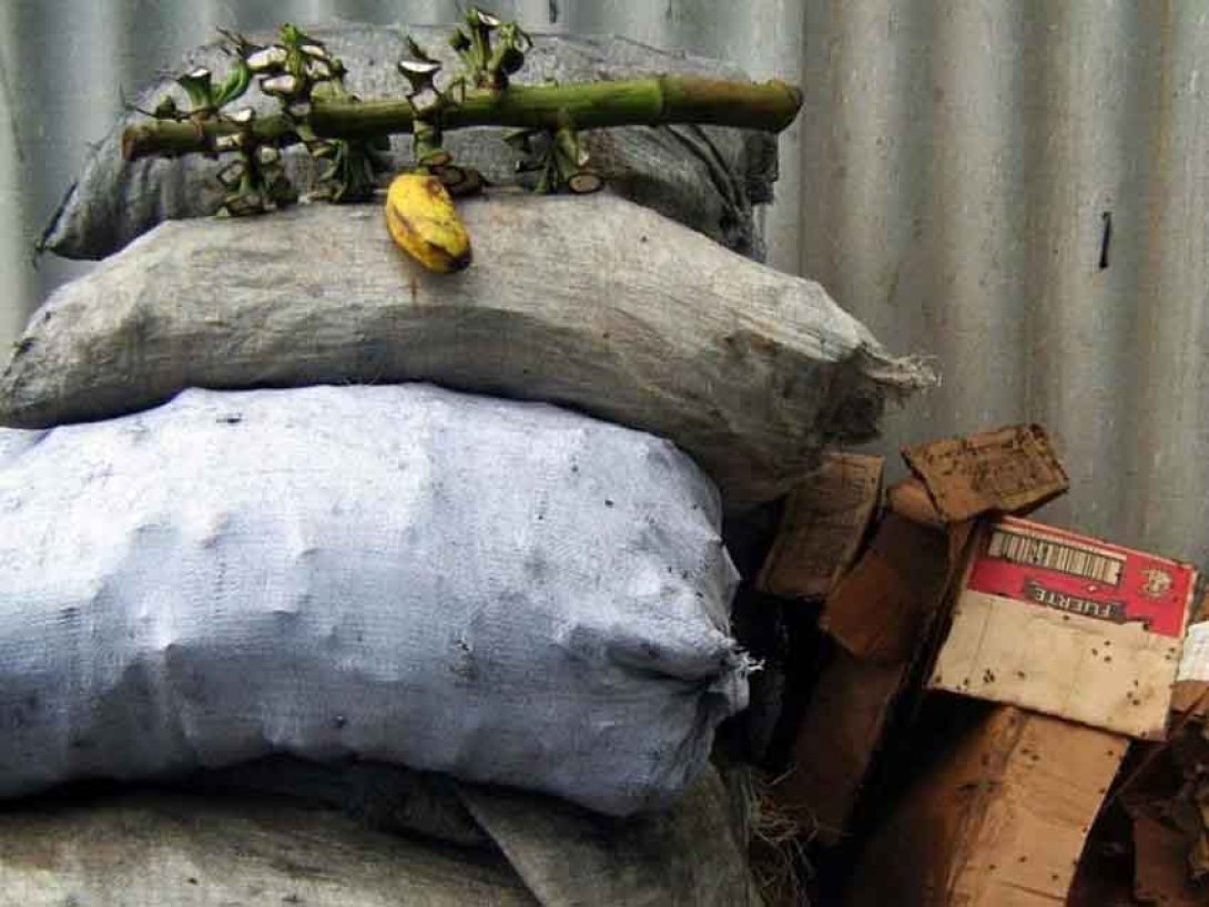 Plátano maduro sobre la basura. Foto: Francis Sánchez