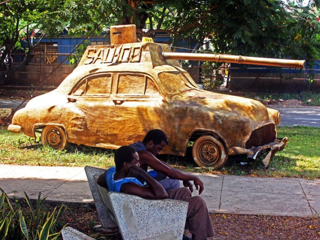 Ancla atado a una palmera
