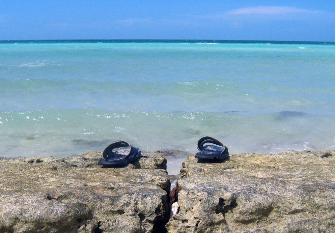 Foto: Francis Sánchez.