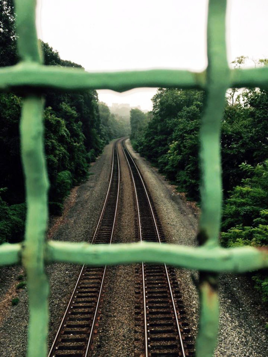 Reja verde y vías del tren. Foto de Manny López