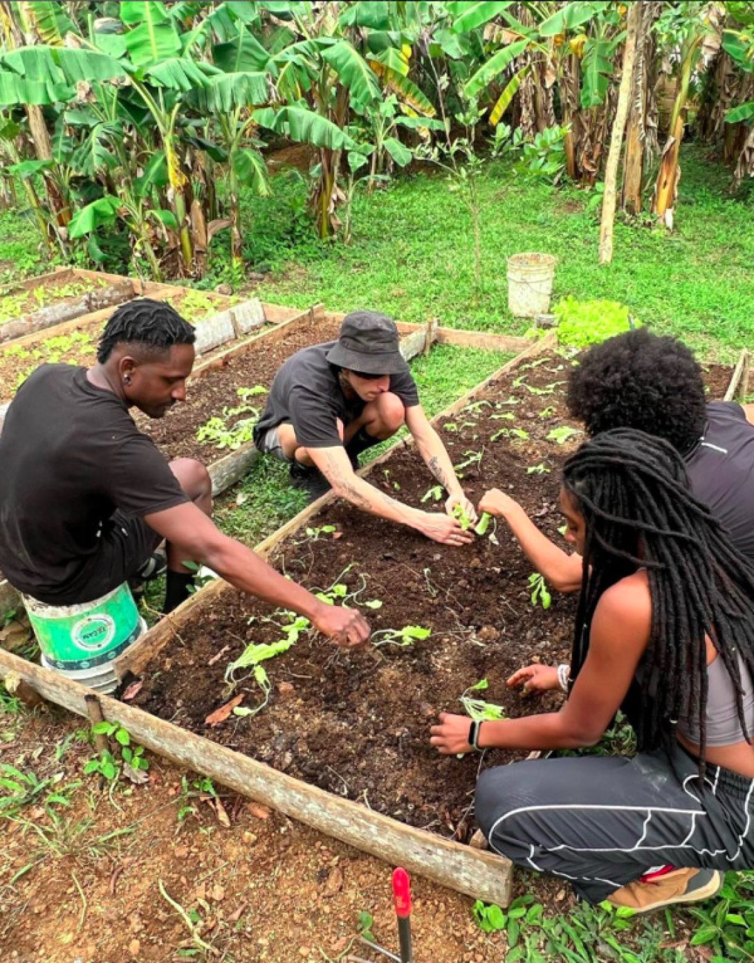 Jóvenes trabajando la tierra.