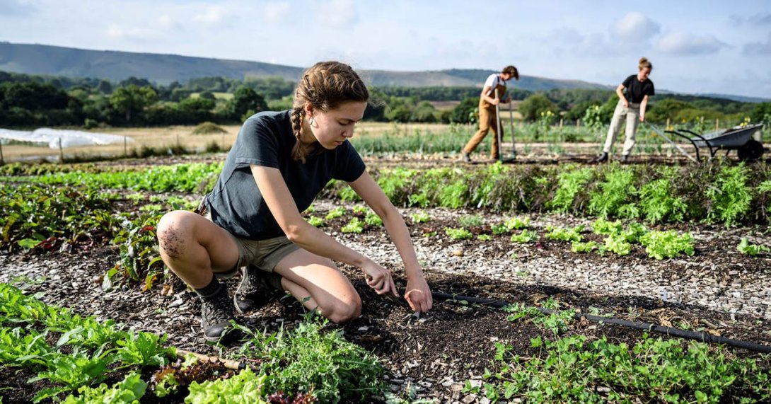 La agricultura regenerativa es una alternativa a un modelo de agricultura industrial de gran escala.