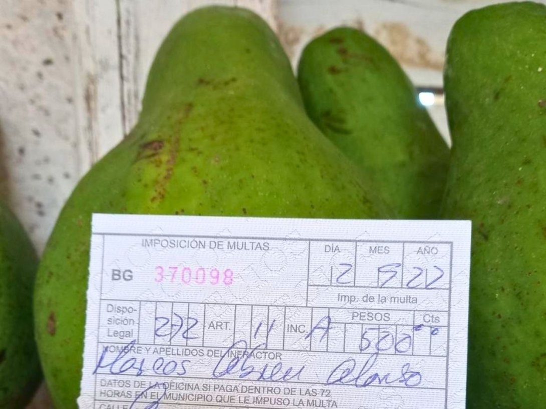 Multa impuesta a un cubano por vender aguacates de su propio árbol (2022).