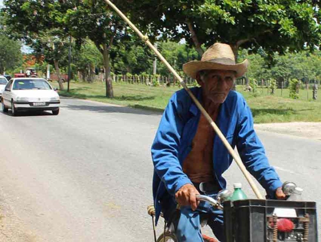 Viejo en bicicleta. Foto: Francis Sánchez