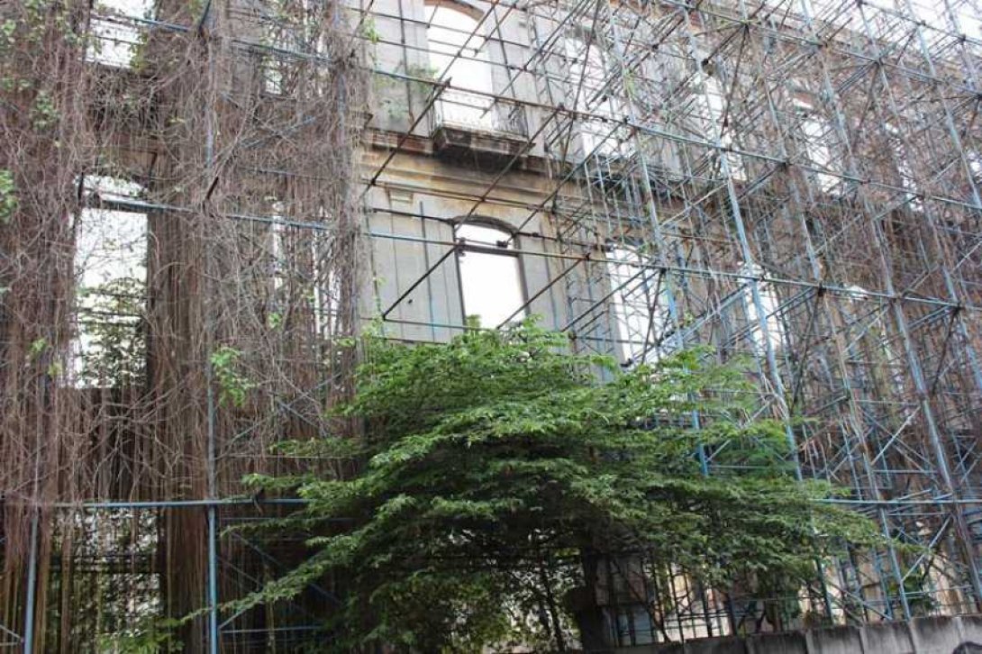 Árbol y Andamio. Foto: Francis Sánchez