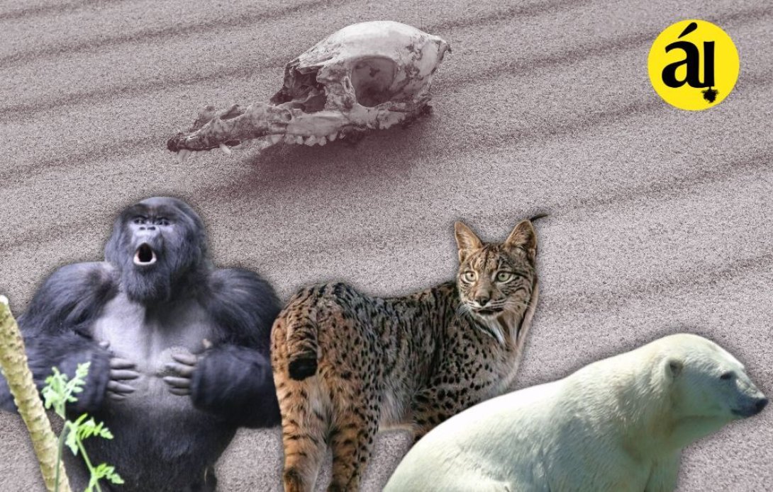 Animales en peligro de extinción.