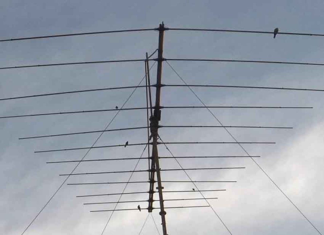 Antena con palomas posadas. Foto: Francis Sánchez