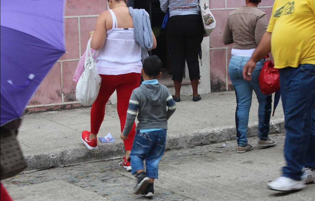 Un ejemplar liberado de Árbol Invertido sobre la acera mientras transeúntes circulan. La Habana, Cuba, 2015.