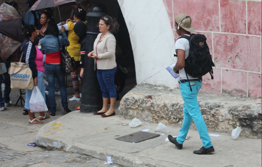 Un joven transeúnte se apropia de un ejemplar liberado de Árbol Invertido. Cuba, 2015.