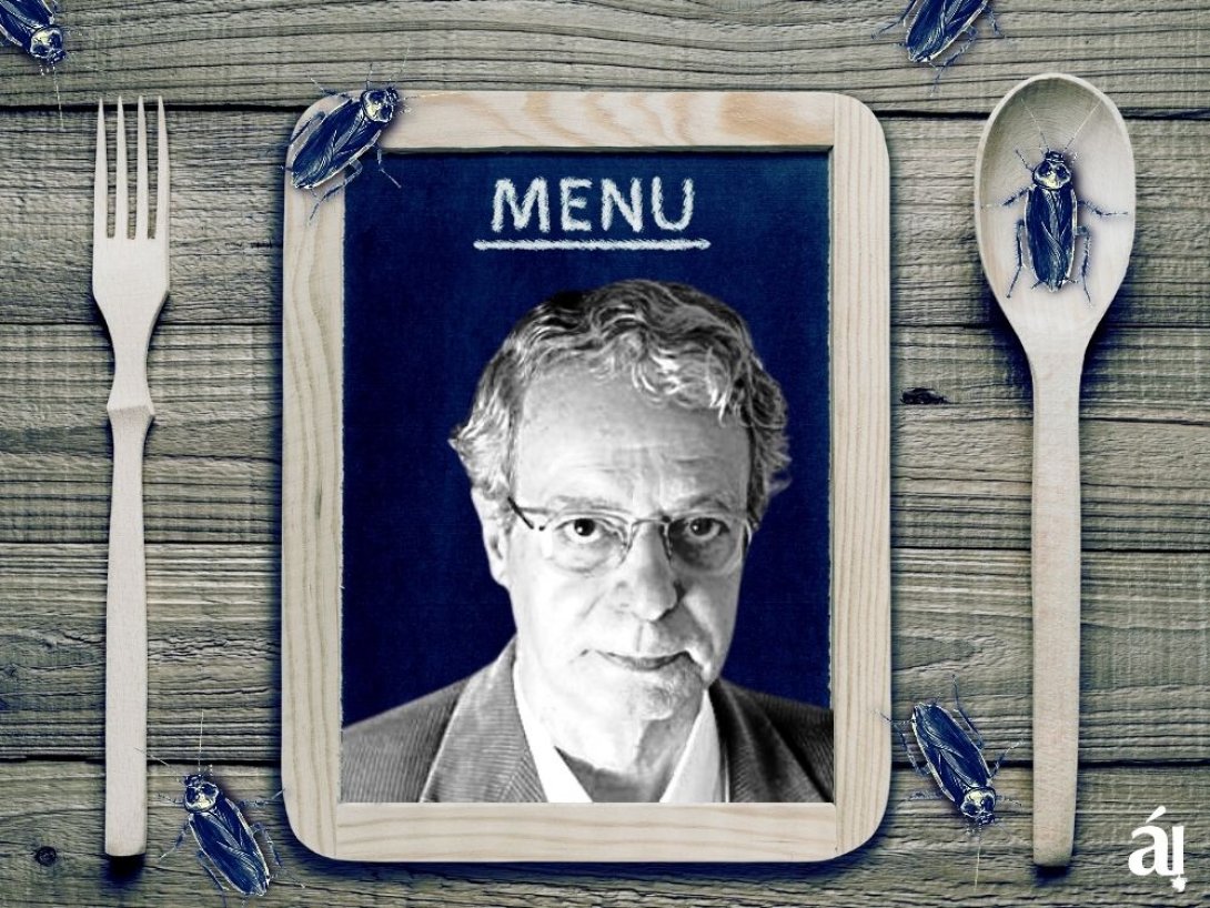 Hombre, recuadro y cucarachas