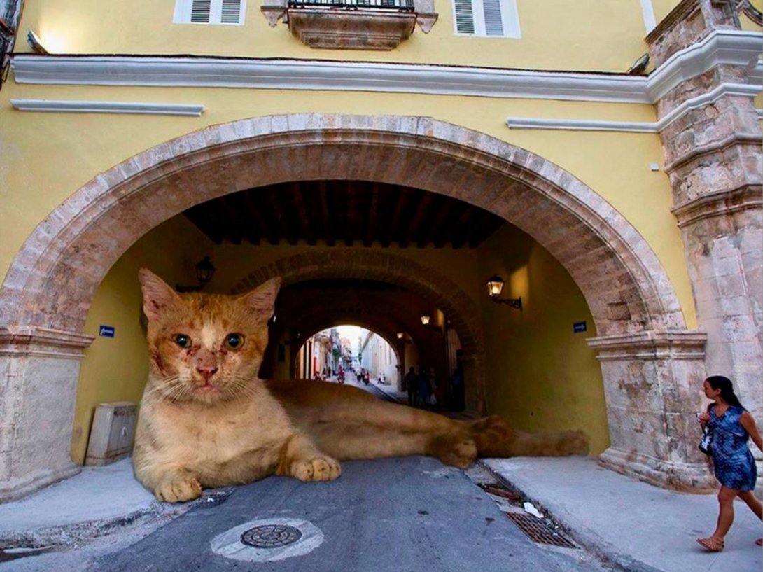 De la serie: "Tal vez ahora puedan vernos" (2019), del fotógrafo cubano Gabriel Guerra Bianchini.