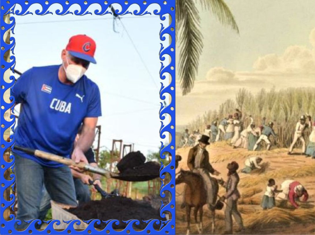 Montaje con: grabado colonial cubano, y foto de Miguel Díaz Canel.