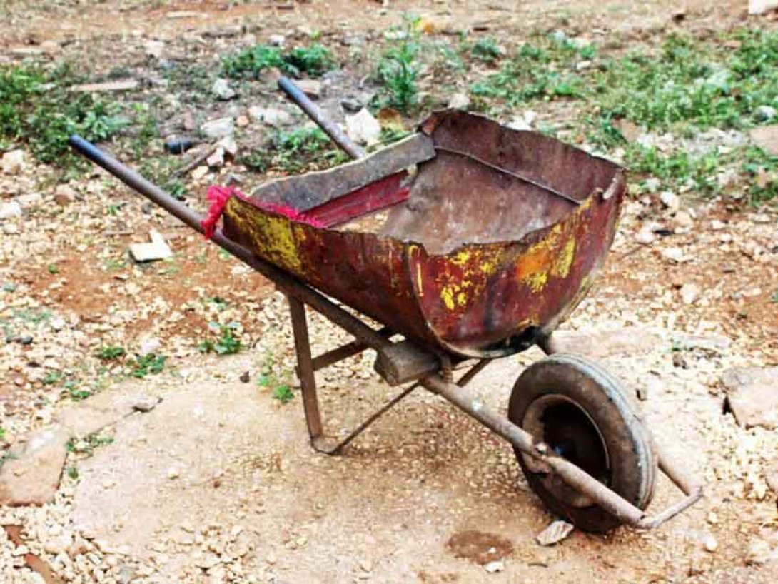 Carretilla rústica. Foto: Francis Sánchez