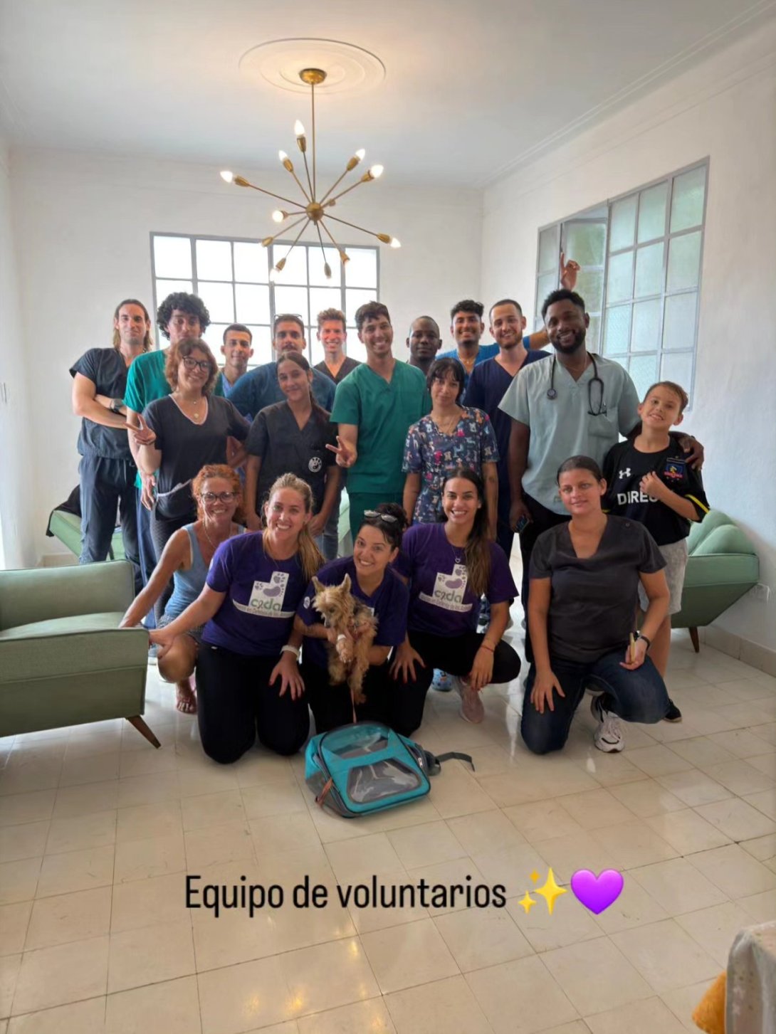 Rescatistas y veterinarios cubanos voluntarios del grupo independiente Cuba en Defensa de los Animales (CeDA). Tomado del perfil de CeDA (7 de mayo de 2026).