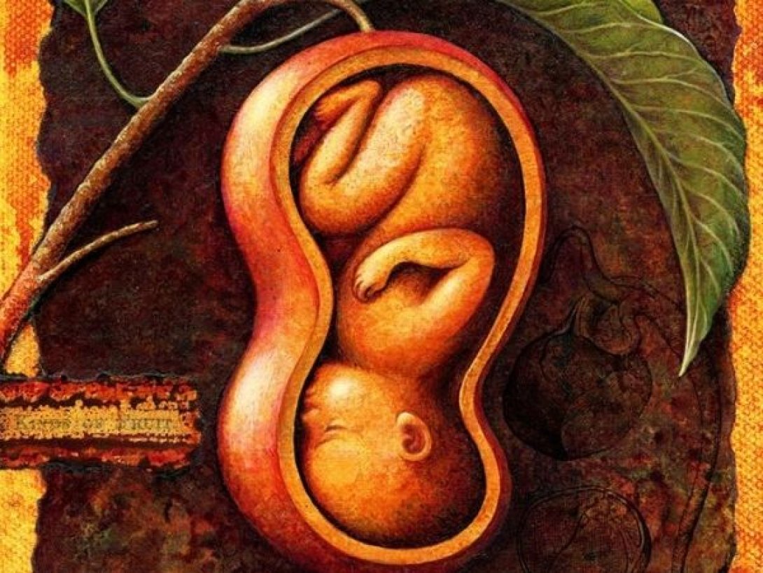 Un embrión representado en forma vegetal rodeado de hojas, evocando el papel del árbol como generador de vida 