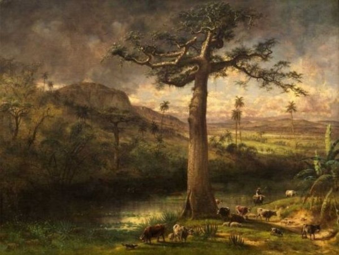 Pintura de Henry Cleenewerck que muestra una ceiba monumental en San Antonio de los Baños, rodeada de ganado y paisaje cubano.