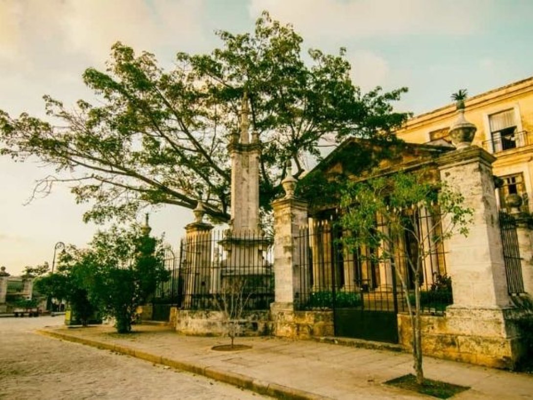Ceiba del Templete en La Habana, sitio fundacional de la ciudad.