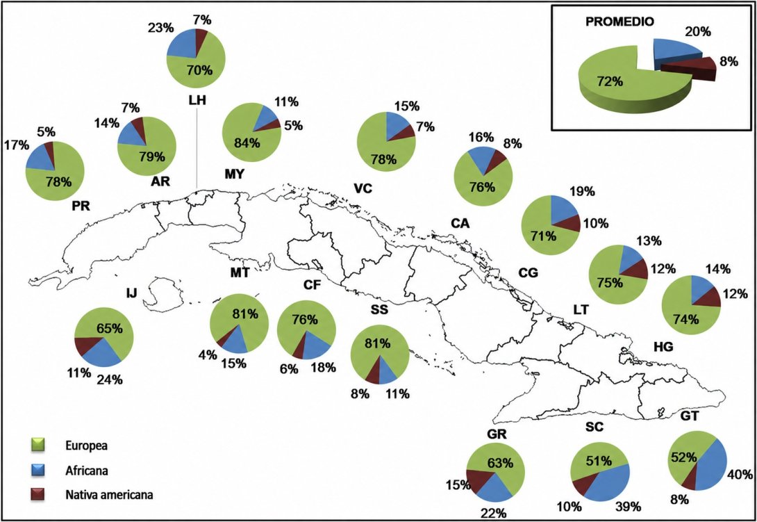 Distribución de la ascendencia genética estimada en distintas regiones de Cuba, según un estudio publicado en 2014 en la revista científica PLOS Genetics. Imagen: PLOS Genetics.
