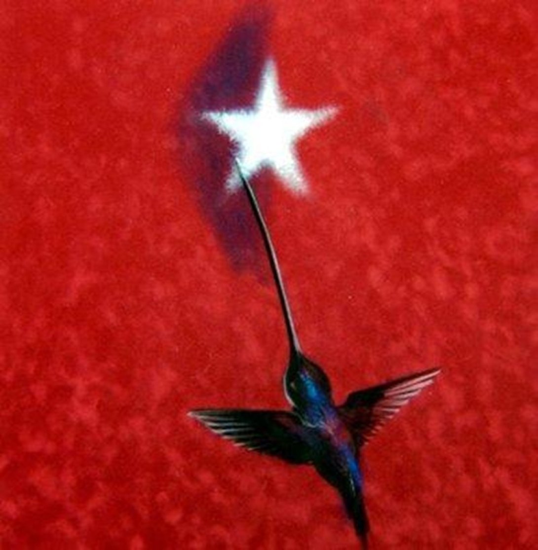 Colibrí, obra de arte de Ernesto Rancaño. Un colibrí cubano liba la estrella de la bandera cubana.