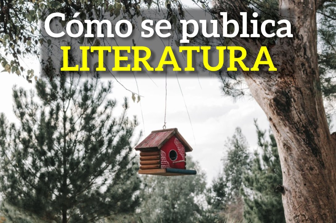 Pixabay: selección natural. Casa de pájaros que cuelga de un árbol.