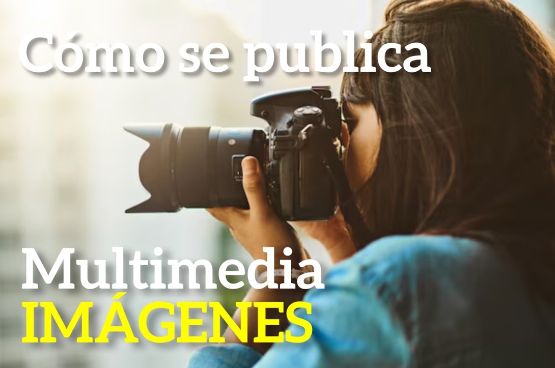 Diseño. Fotógrafa. Cómo se publica multimedia multimedia, imágenes.