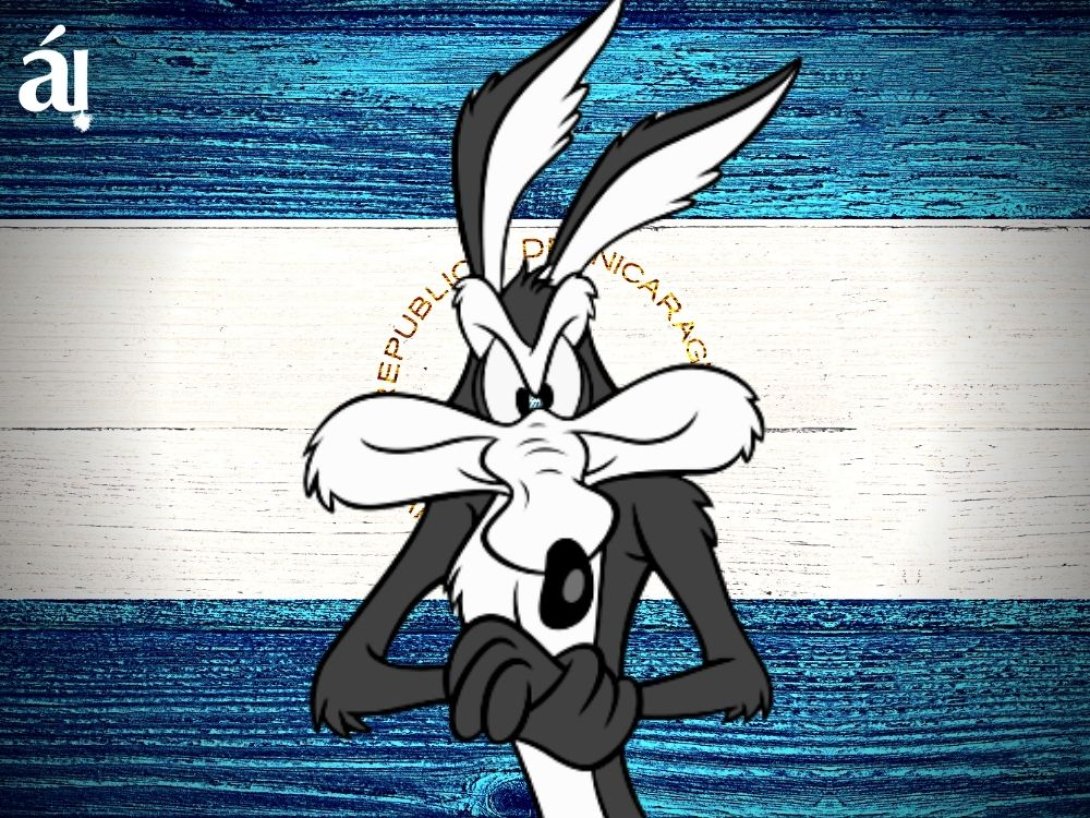 Coyote  bandera de Nicaragua