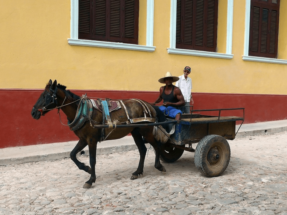 Hombre manejando un carretón de caballo.
