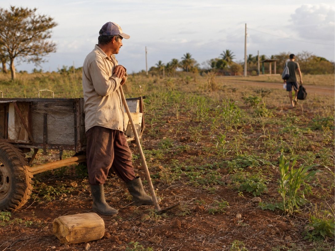 Cuba adentro. Campesino con guataca ve alejarse a su hijo hacia la ciudad