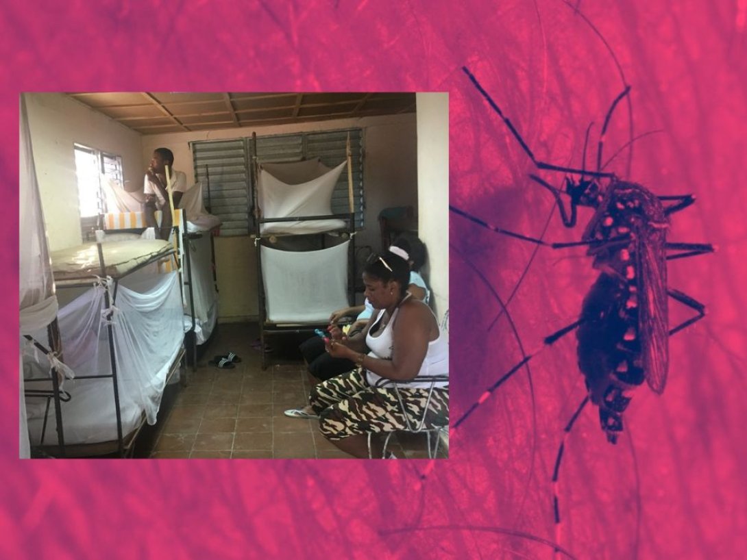 Dengue en Cuba. Pacientes