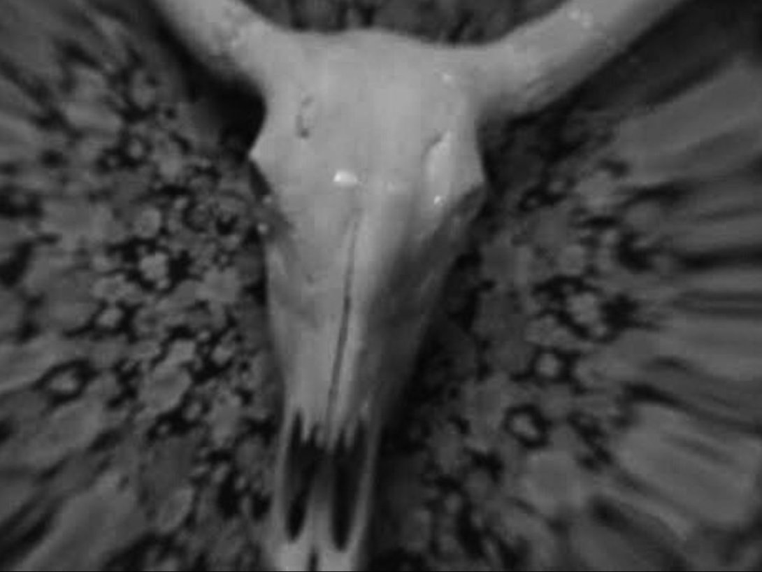 Fotograma del cortometraje cubano "Diario de la niebla" (2015), dirigido por Rafael Ramírez.