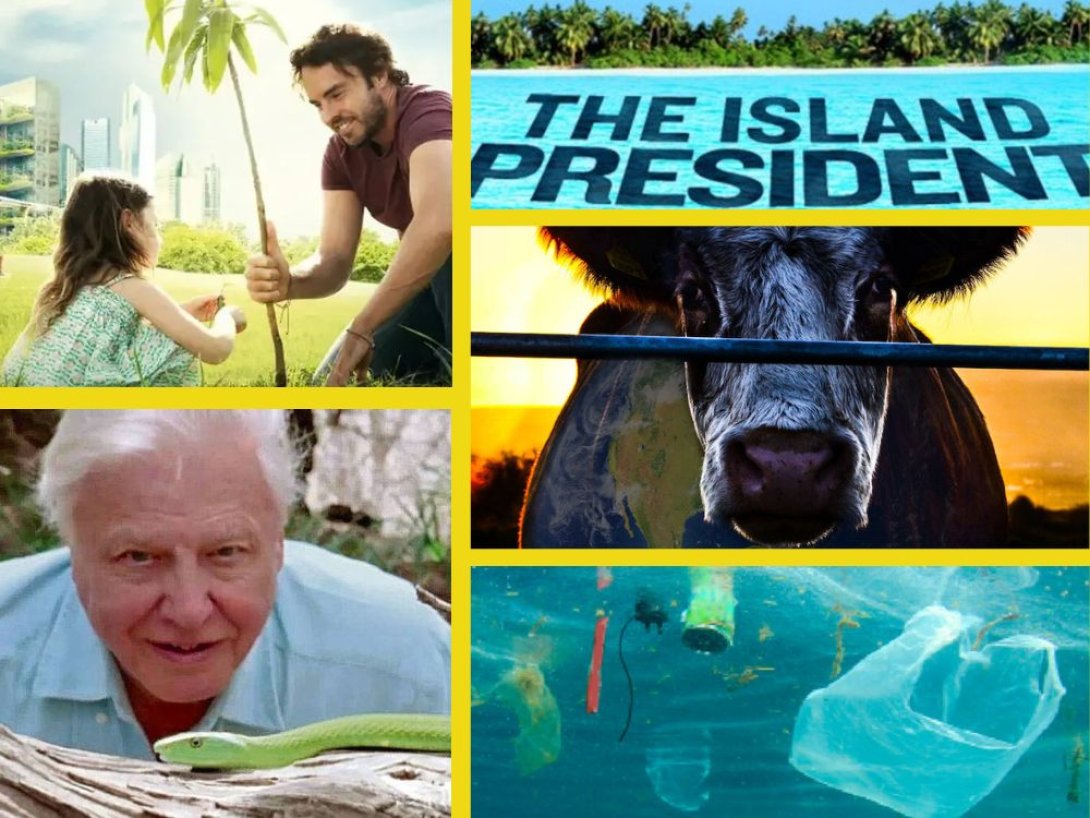 Collage de cinco documentales sobre ecología.