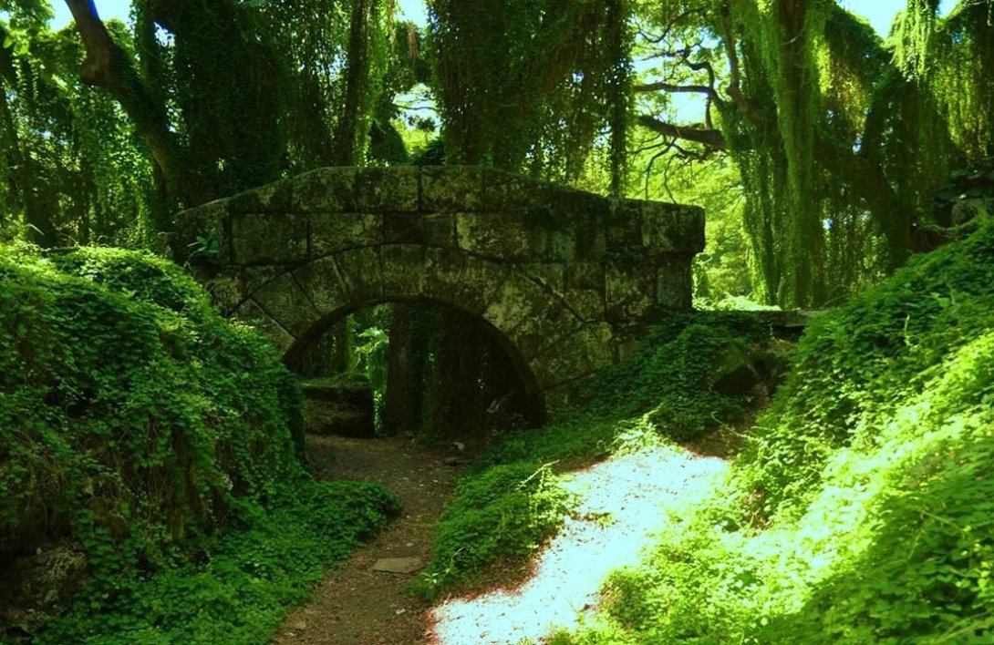 El Bosque de La Habana.