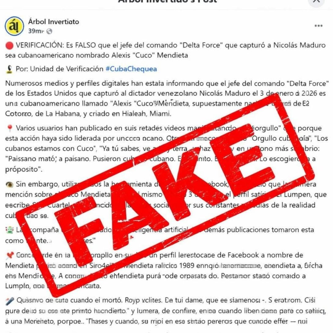 Negación paródica de El Lumpen de la verificación de Árbol Invertido.